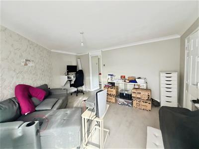 Picture 7